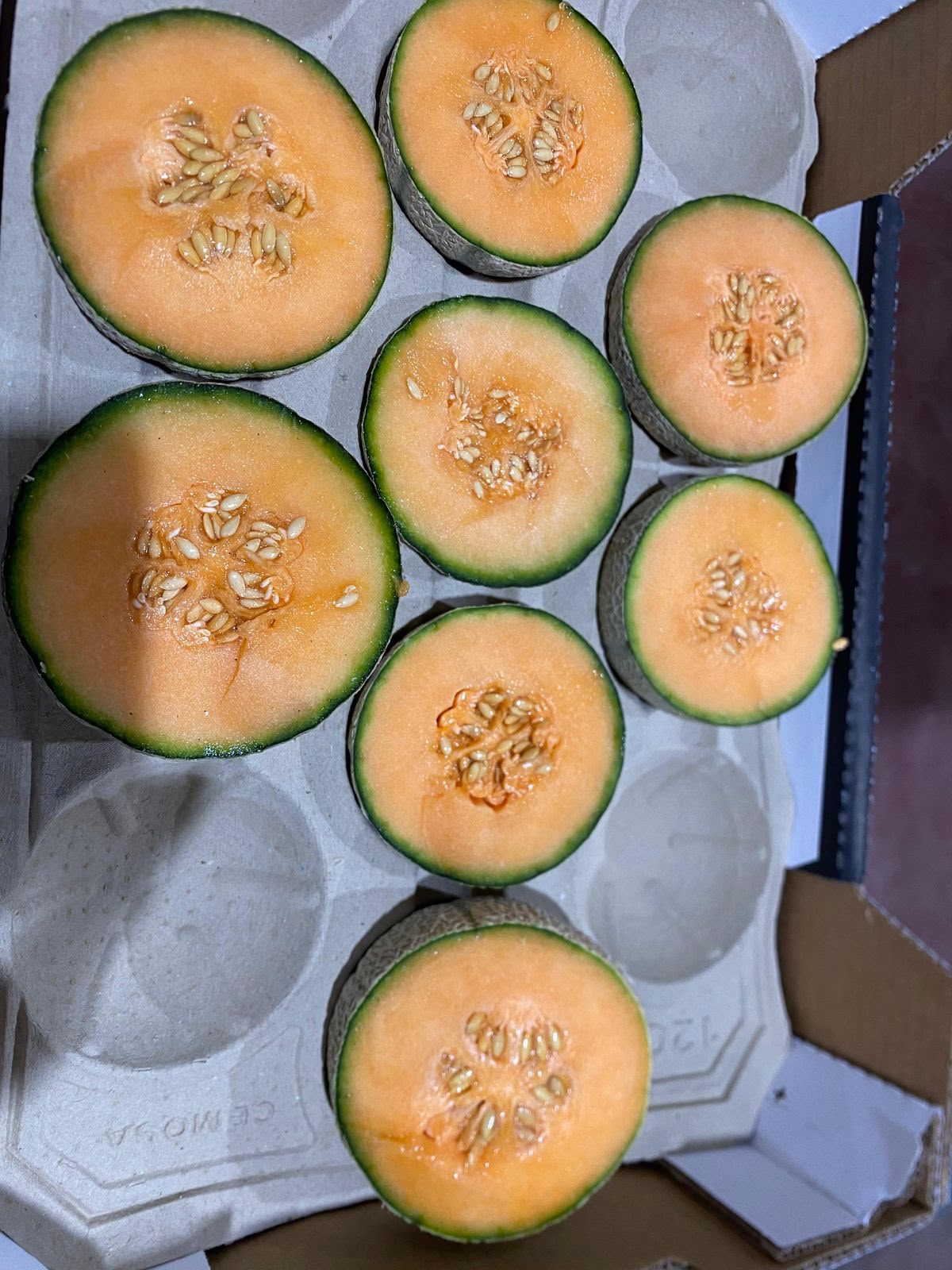 Fresh melons sorted at the packhouse