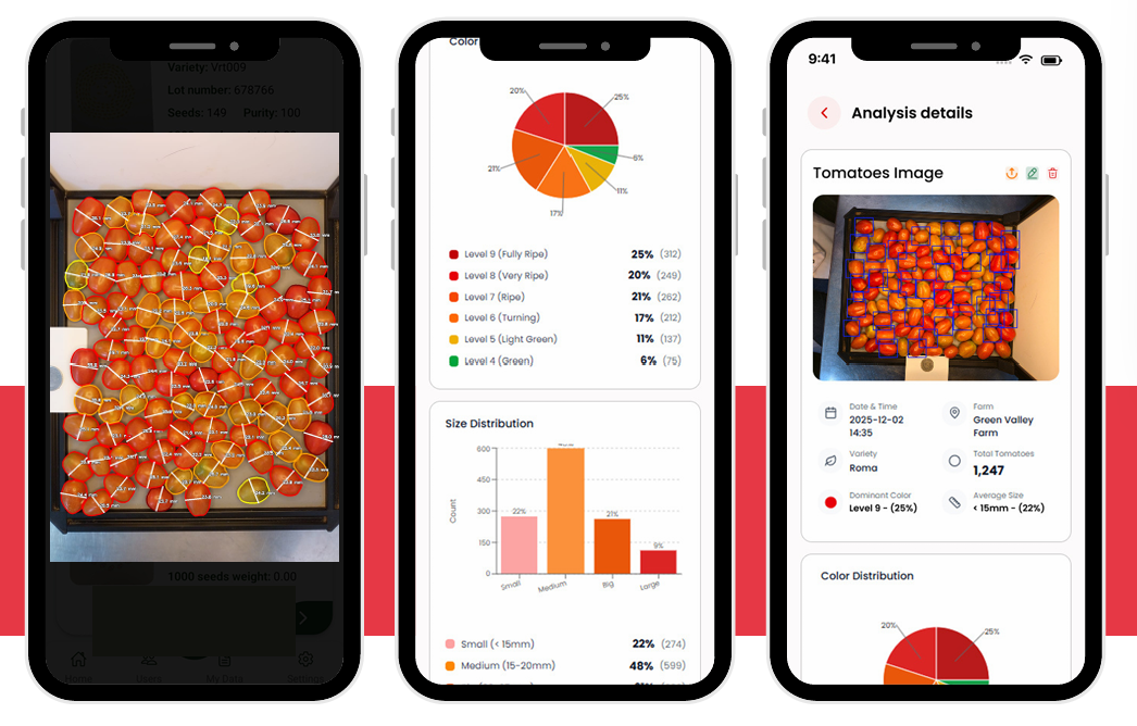 AI mobile analysis showing tomato color distribution and size charts