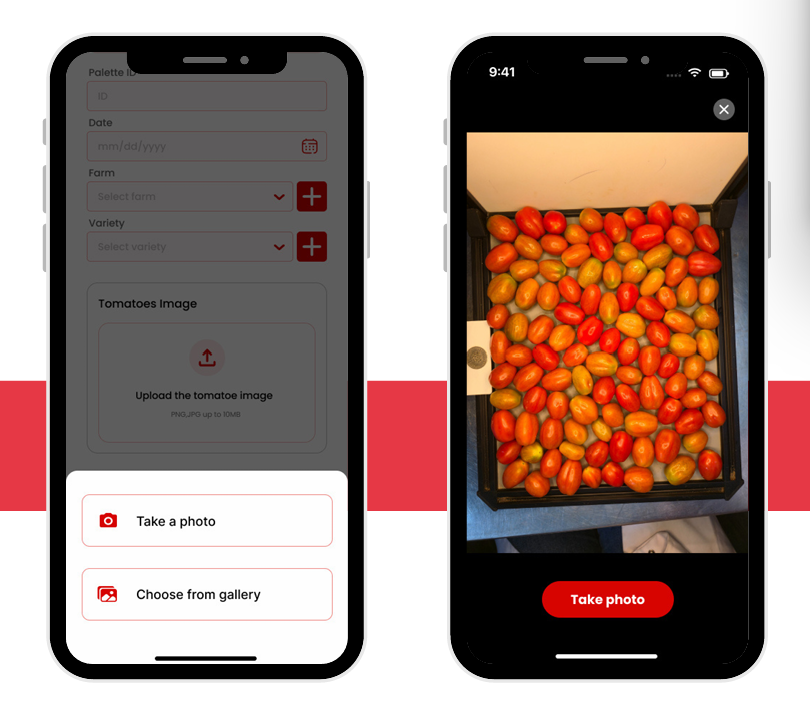 AI mobile capture screen for tomato batch image upload